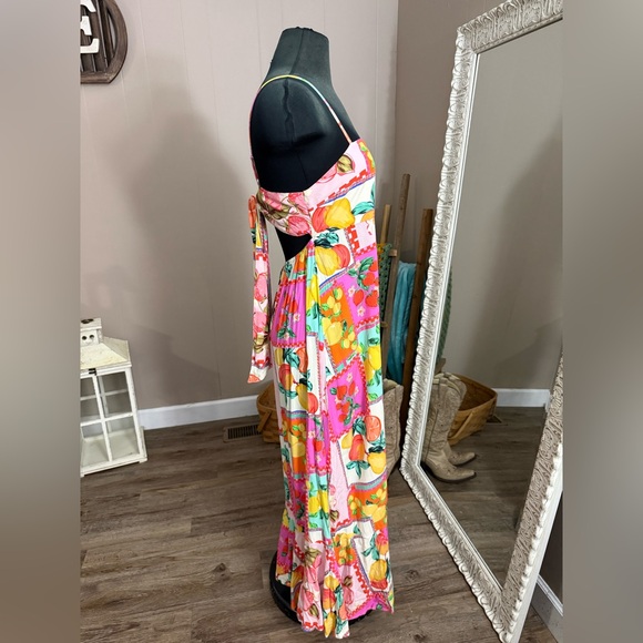 Paper Heart • Fruit Floral Maxi Dress - Picture 7 of 10